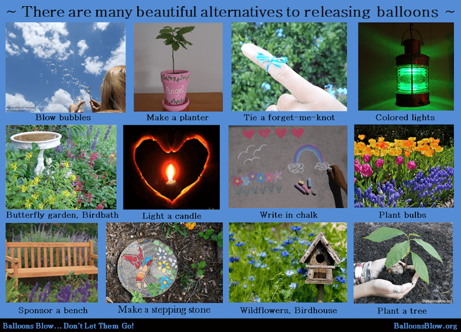 Photo: Collage of alternatives to balloon or sky lantern releases